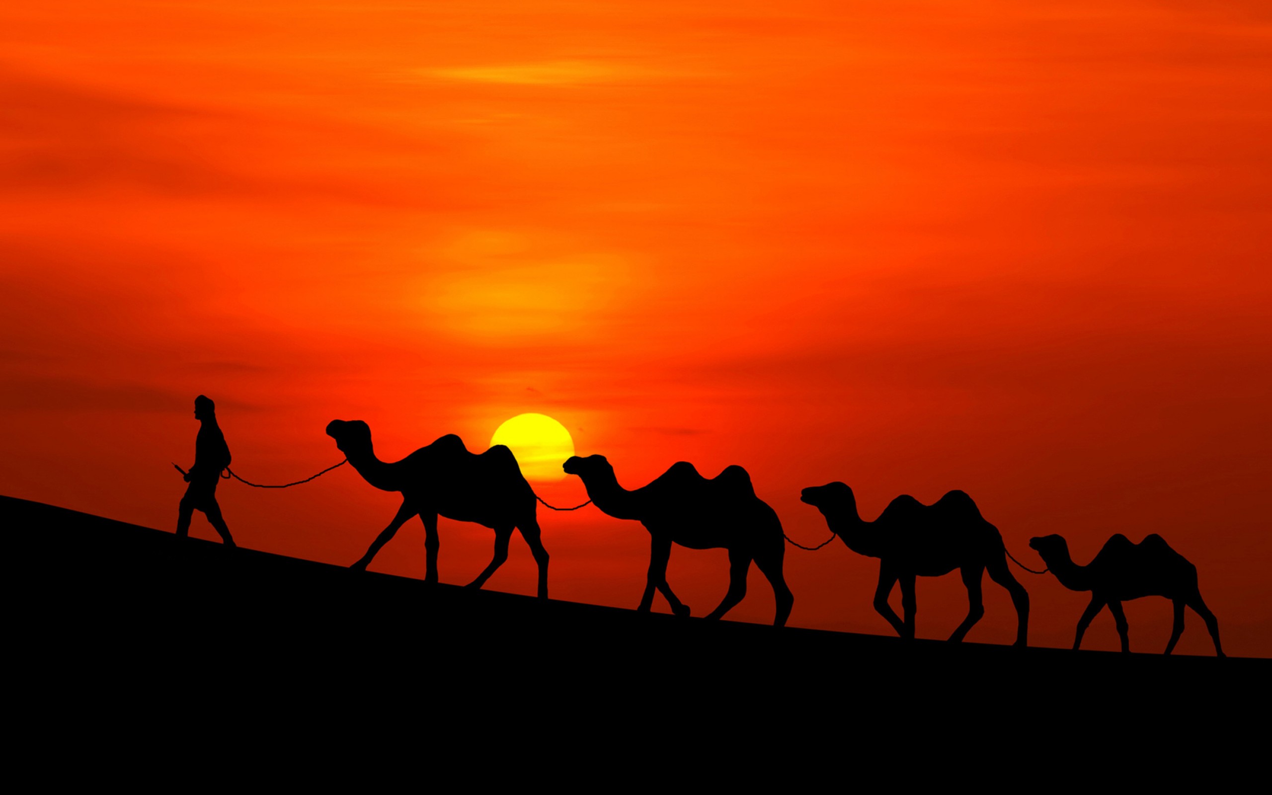 Караван картинка. Великий шелковый путь Караван. Шелковый путь Караван верблюдов. Верблюд Караван пустыни. Верблюд в пустыне.