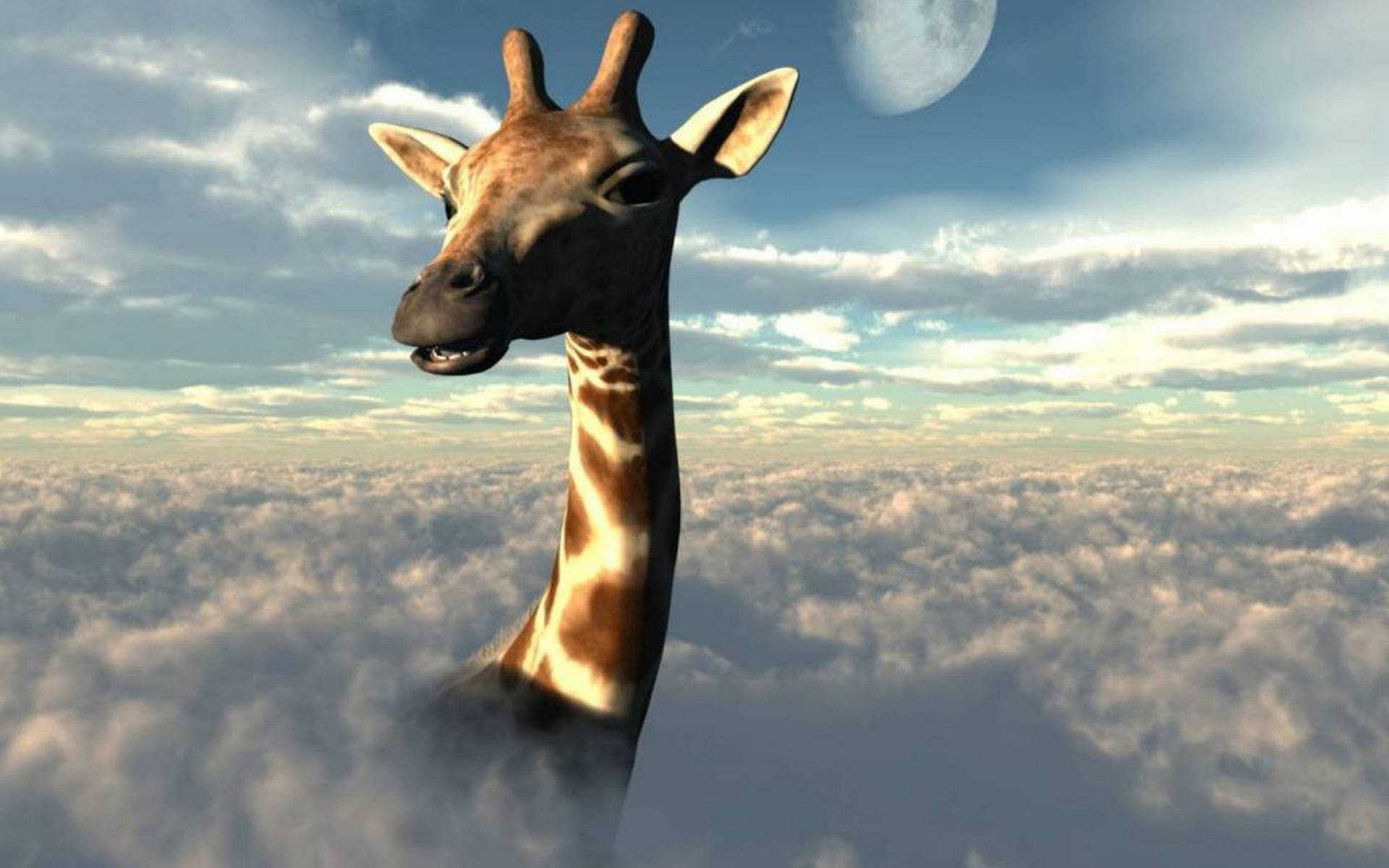 Небесные обитатели. Жираф. Летающий Жираф. Жирафы в небе. Красивый Жираф.
