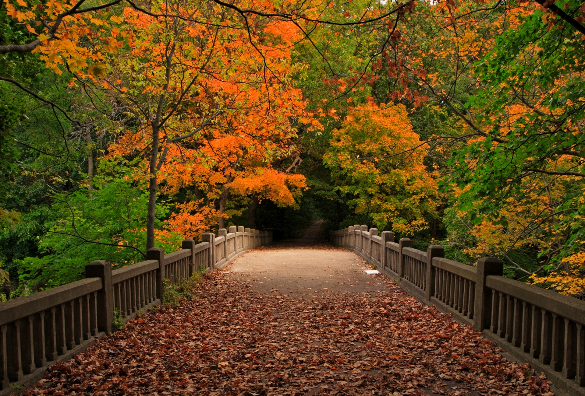 Autumn long. Осенний парк. Осень в парке. Природа осень парк. Осень лес парк.