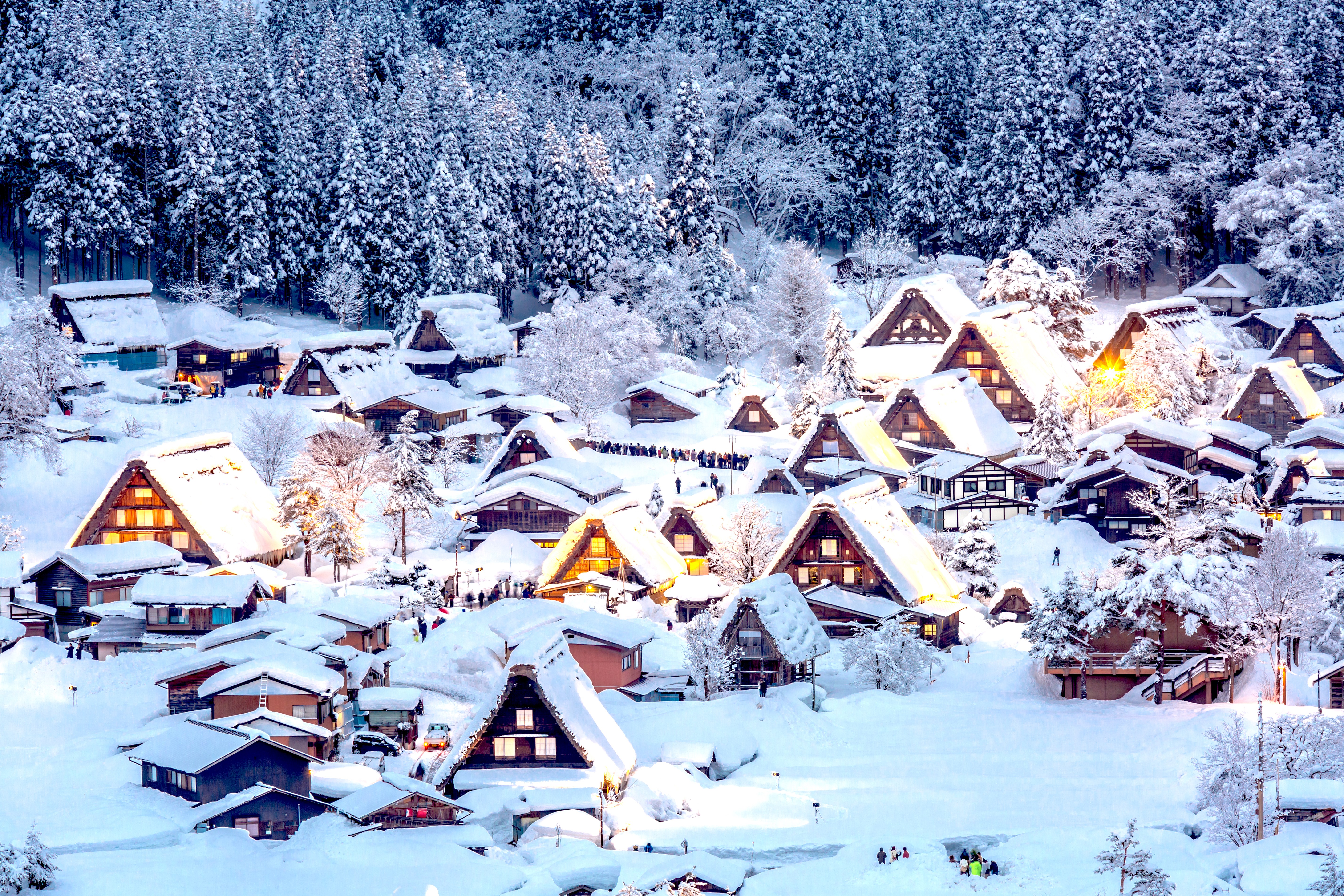 Best winter. Сиракава-го Япония. Япония деревня Сиракава. Сиракава го Япония зимой. Деревня Сиракава-го Япония фотосессия.