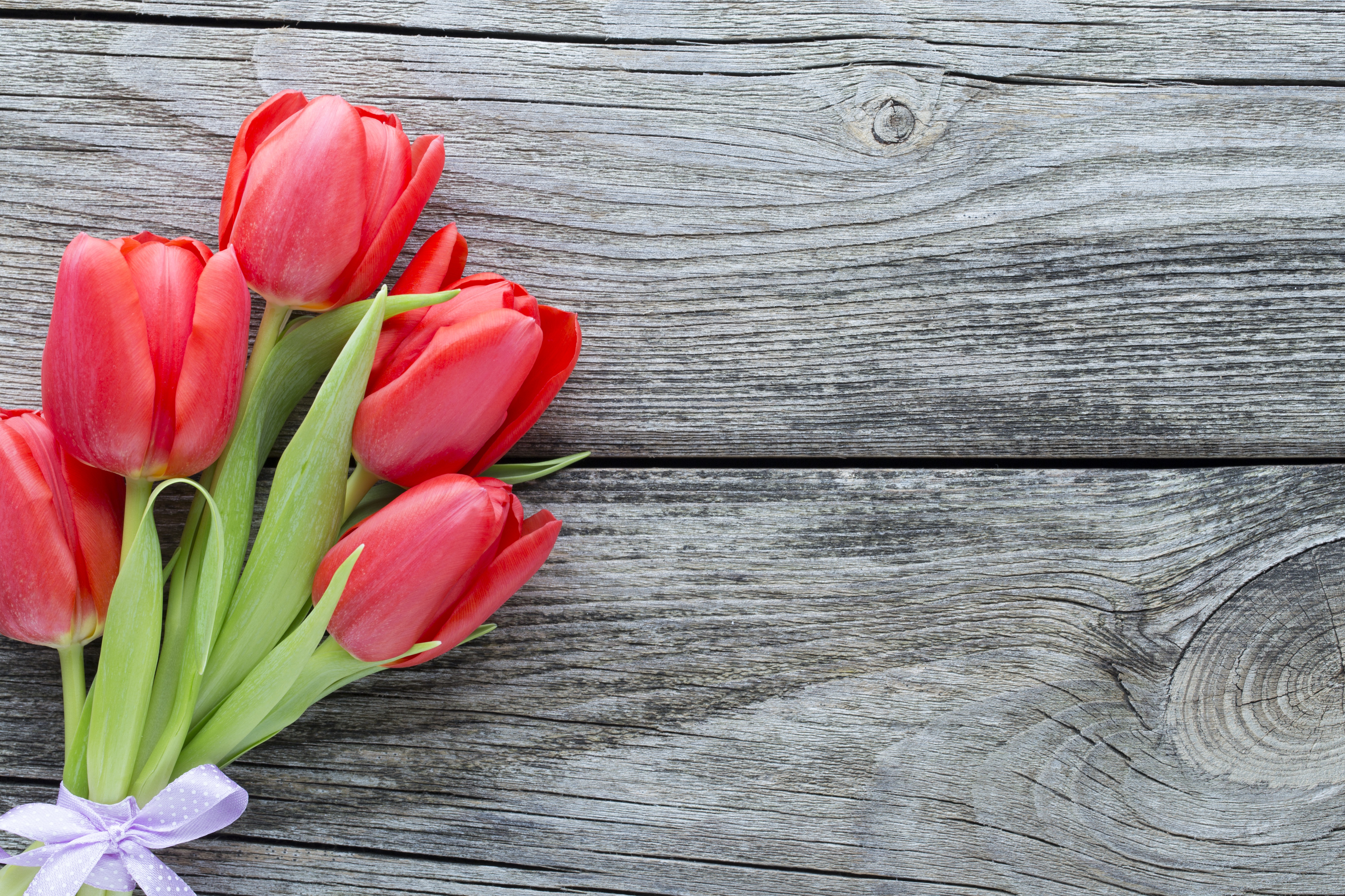 Обои с тюльпанами на телефон. Цветы тюльпаны. Красные тюльпаны. Цветы на деревянном фоне. Тюльпаны фон.