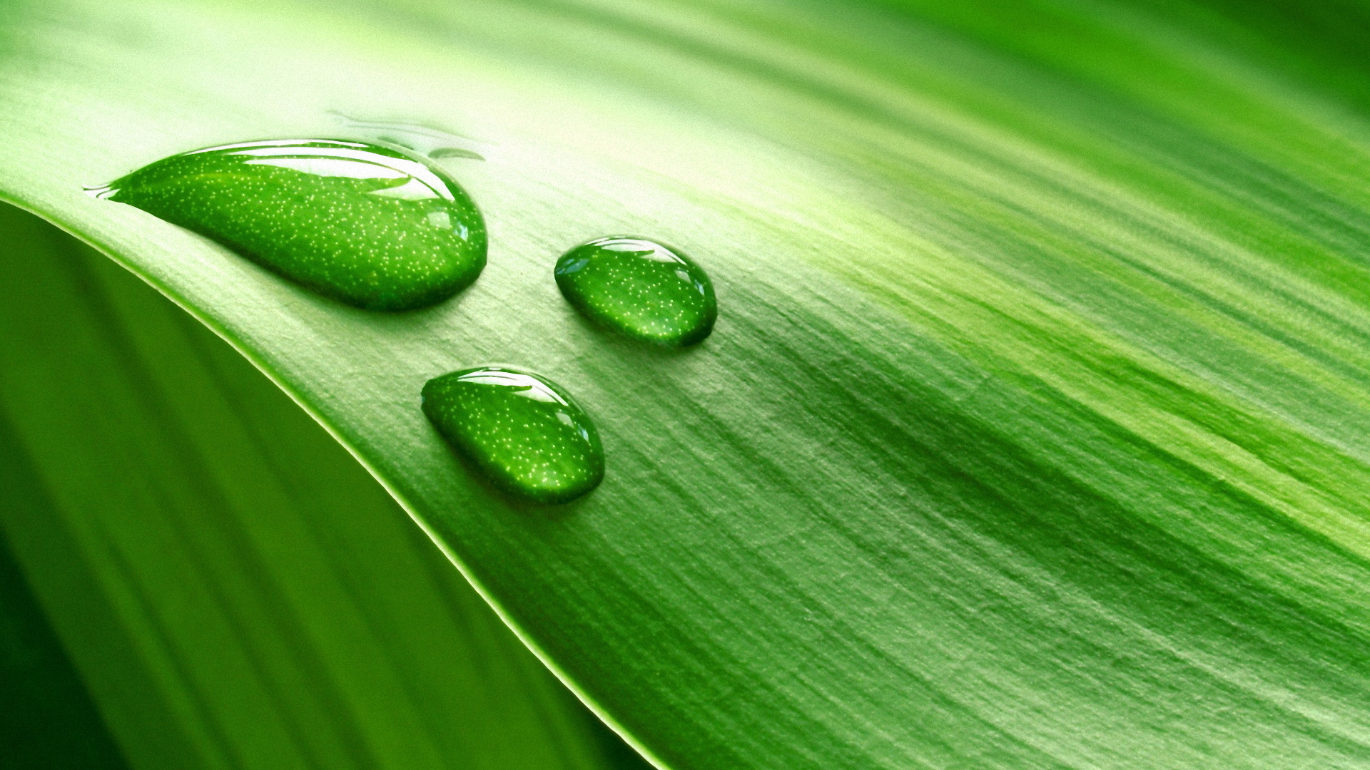 Tonos de verde agua