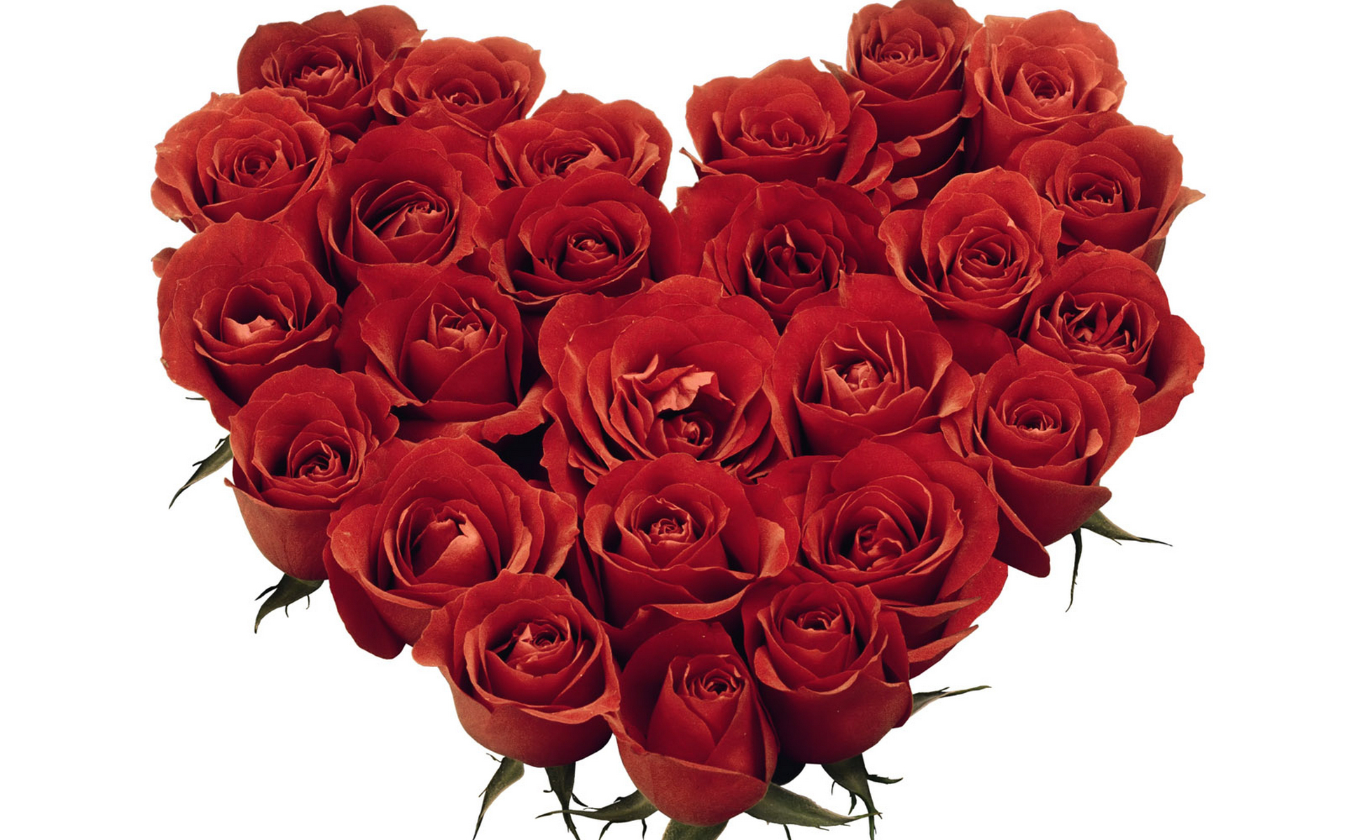 Прикольные розы картинки. Розы для тебя. Эти розы для тебя. Букет роз для тебя.