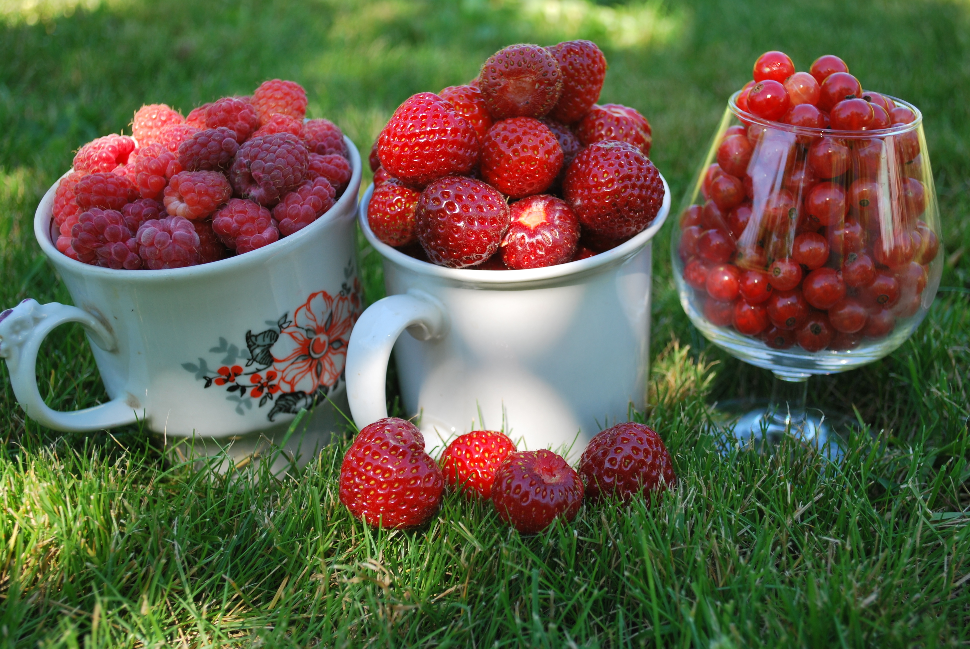 Лето время ягод