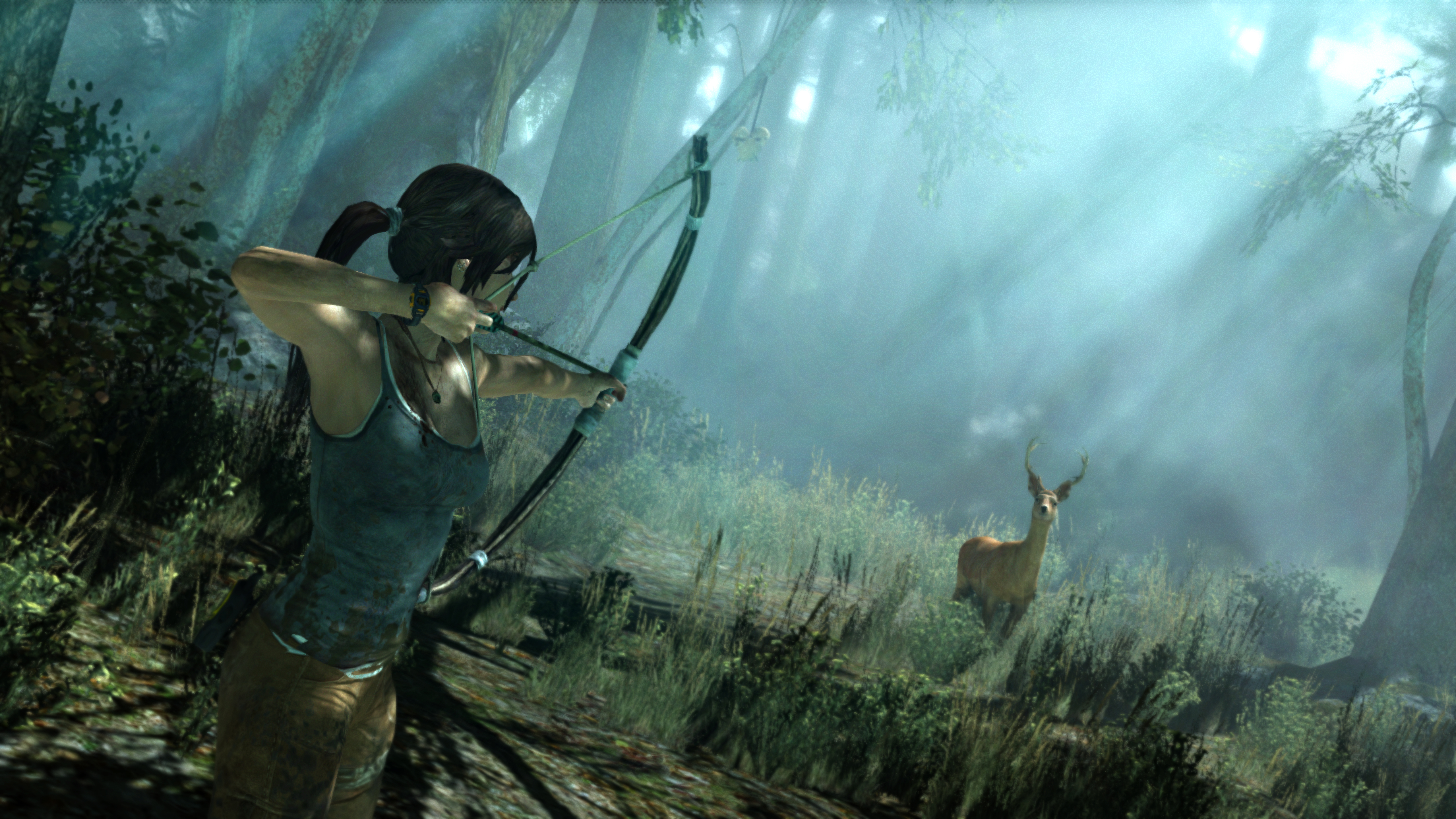 Играх у нее больше. Tomb Raider 2013. Том Райдер 2014. Tomb Raider (ps3). Tomb Raider 2013 ps3.