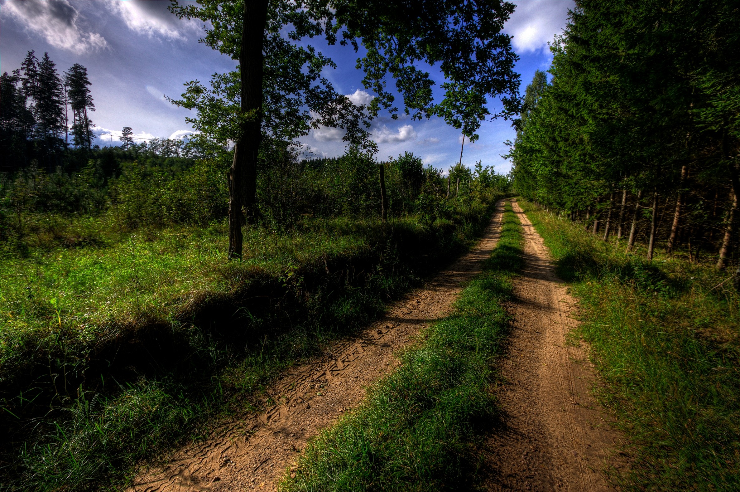 Дорога ведет в лес. Лес Проселочная дорога Россия. Перекресток на проселочной дороге. Дорога в лесу. Летняя дорога.