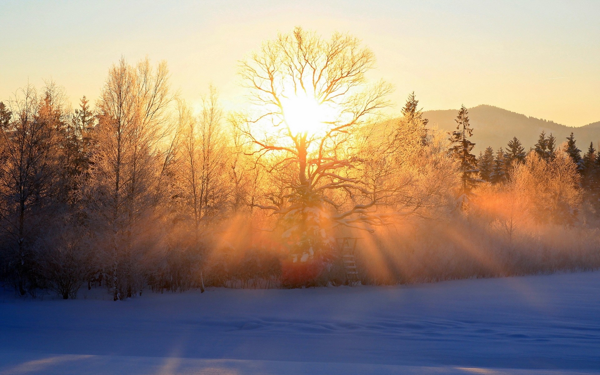 Зимнее утро. Рассвет зимой. Солнечная зима. Зимний лес солнце. Солнечное зимнее утро.