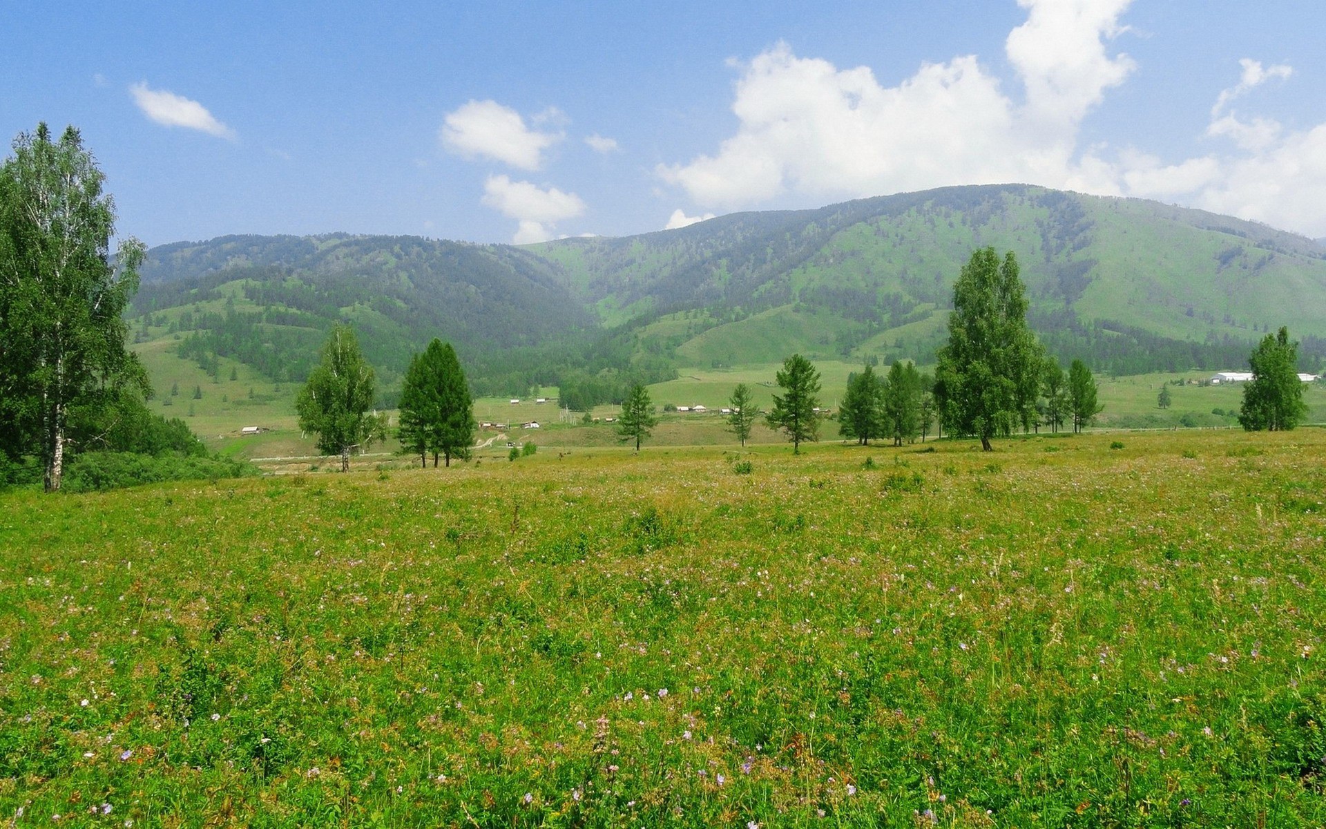 На зеленых широких лугах. Большой луг. Холм Кызбурун. Большой луг фото. Зеленые холмы 212525.