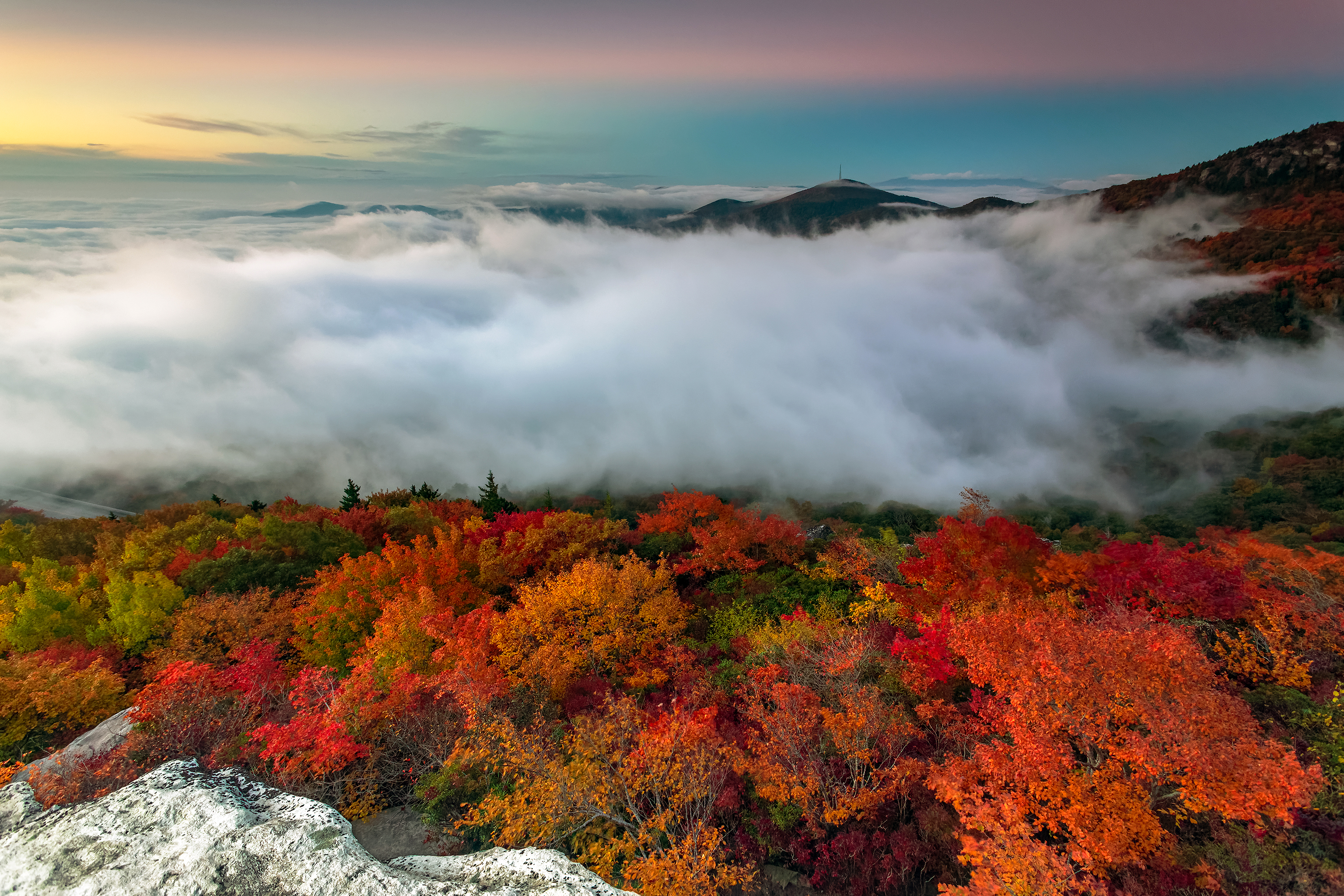 Осеннего неживой природы. Горы в Северной Каролине США.