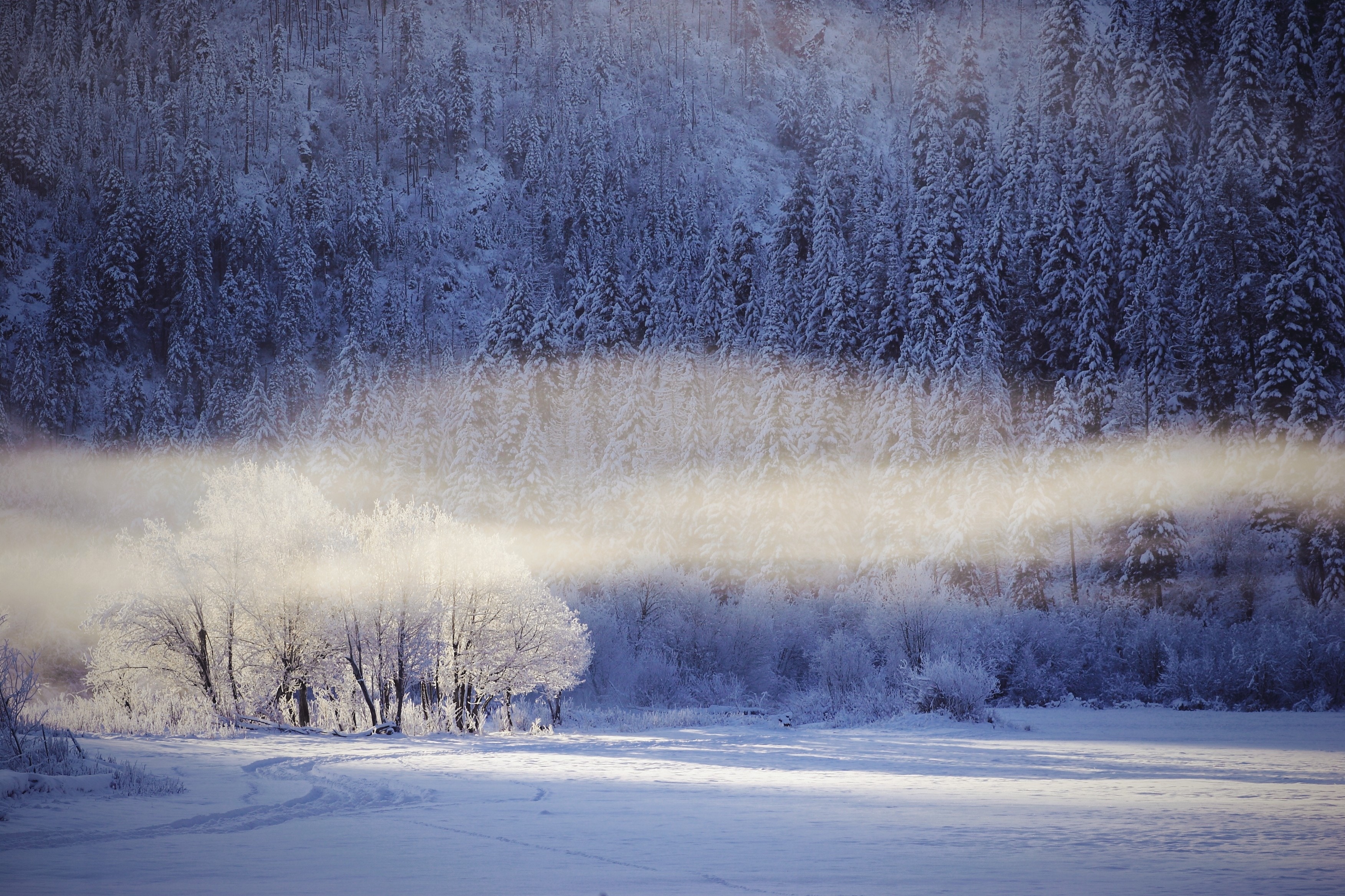 Зима воздух. Морозная вьюга. Волшебная зимняя равнина днем. Метель картинка для детей. Пушистой пеленой.