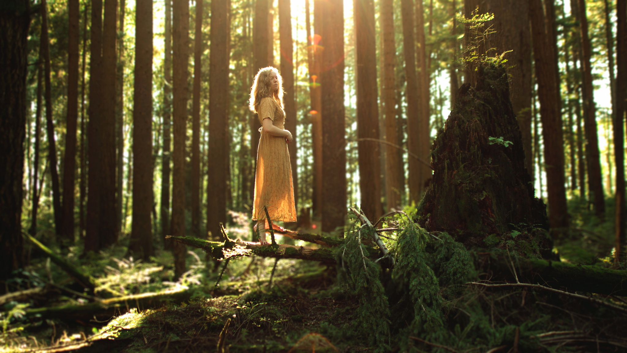 Полненькую в лесу. Лиззи Гадд. Девушка в лесу. Фотосессия в лесу. Лесная девушка.