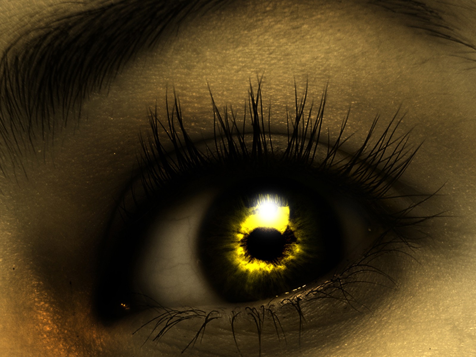Описание желтых глаз. Желтые глаза. Золотые глаза. Тёмно золотые глаза. Золотой цвет глаз.