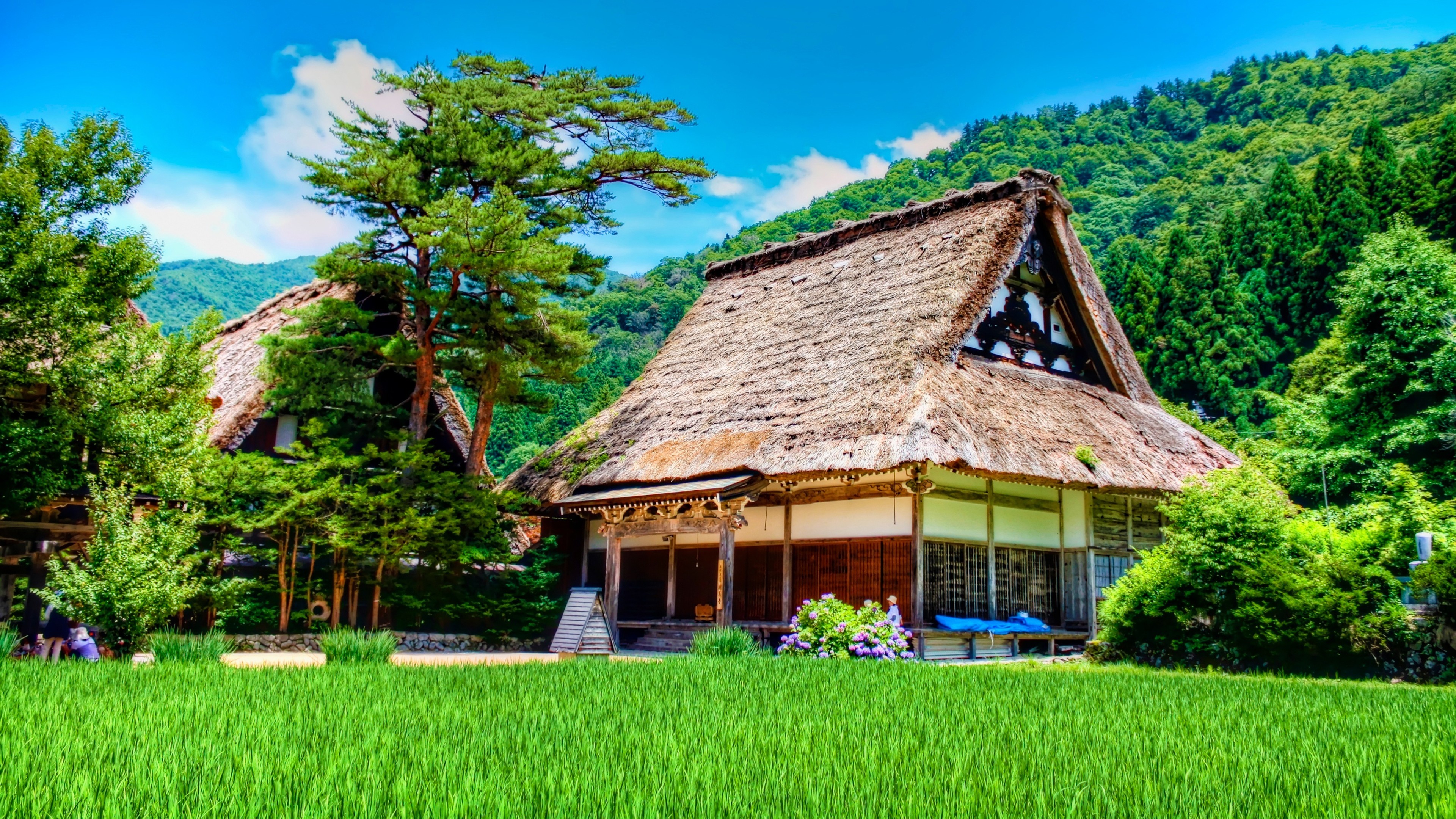 Natural house. Японская деревня 4к. Гассё-дзукури. Горная деревня Shirakawa зимой, Япония. Домик на природе.