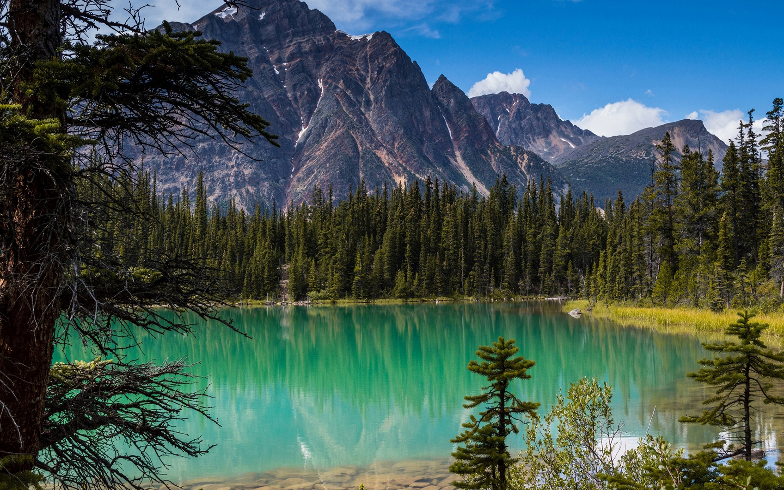 Картинка красивое озеро. Скалистые горы парк Джаспер. Национальный парк Джаспер Канада.
