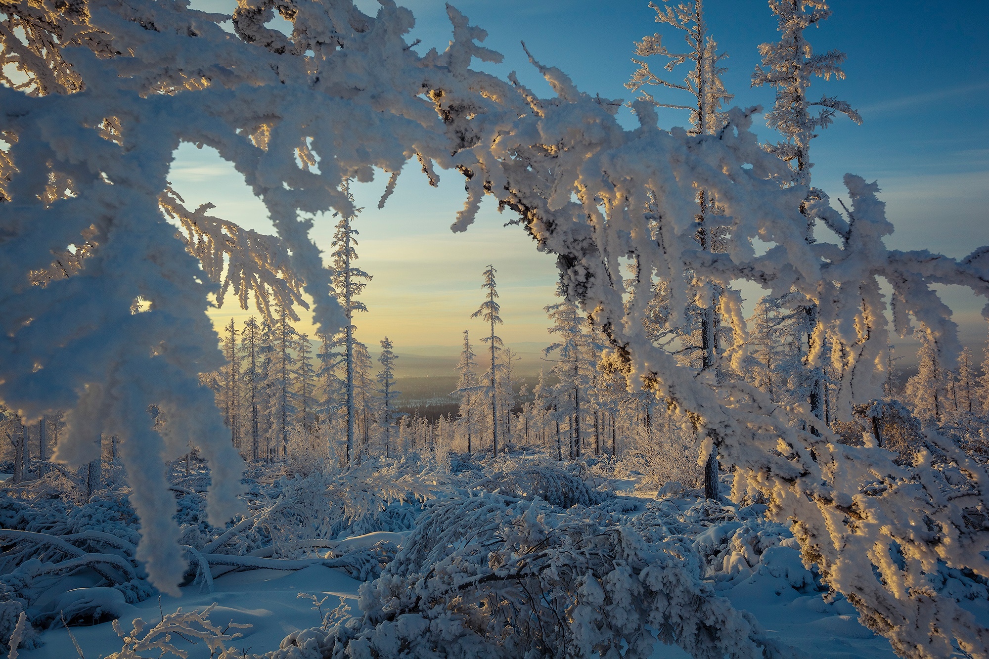 Красота зимнего леса. Оймякон пейзаж. Сибирь зимой. Морозный лес. Зима в России.