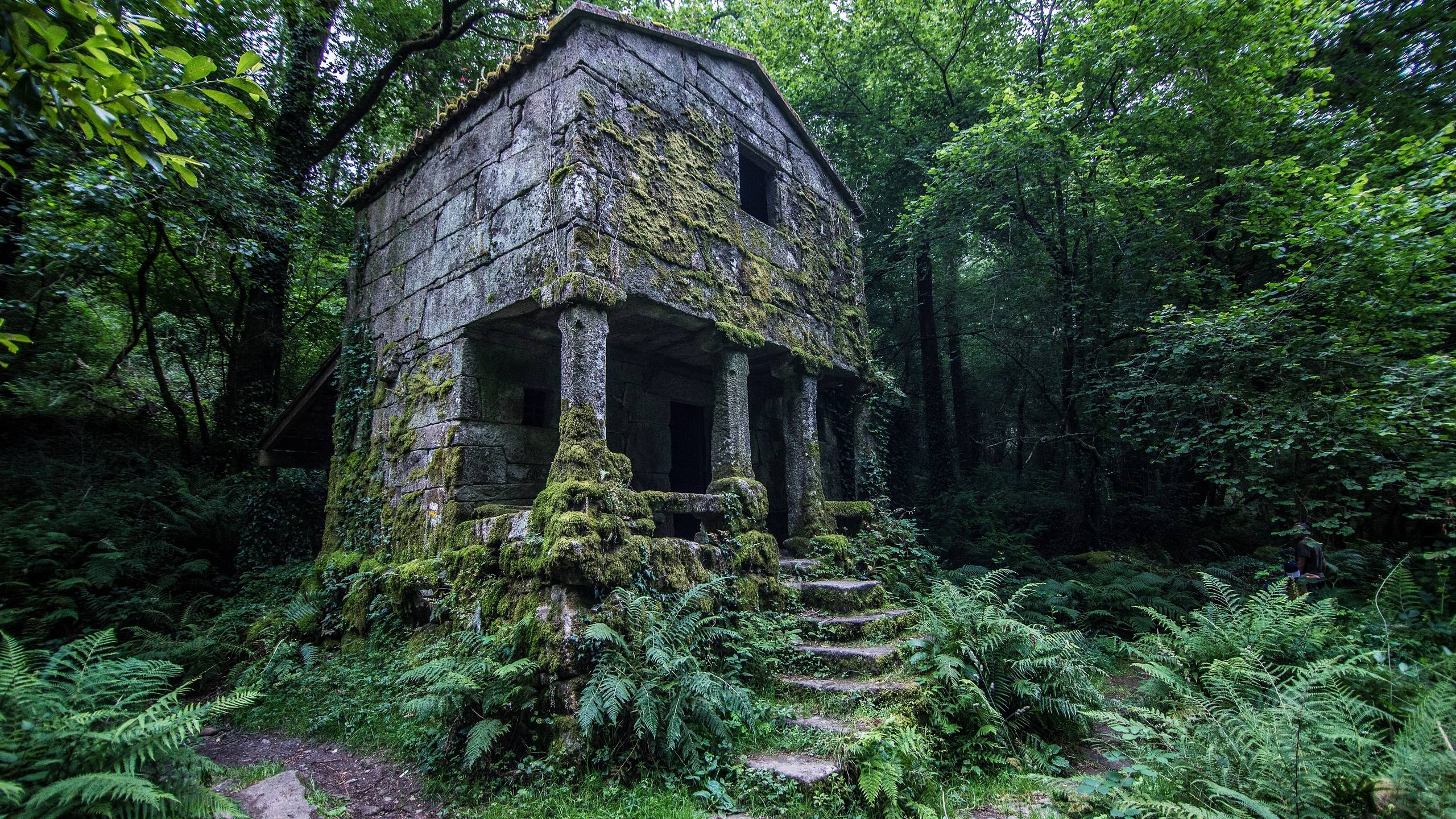В заросшей плющом каменной. Каменный домик мыс Рудковская. Ирландия замшелый замок. Замшелый лес руины. Заброшенный особняк Джанхот.