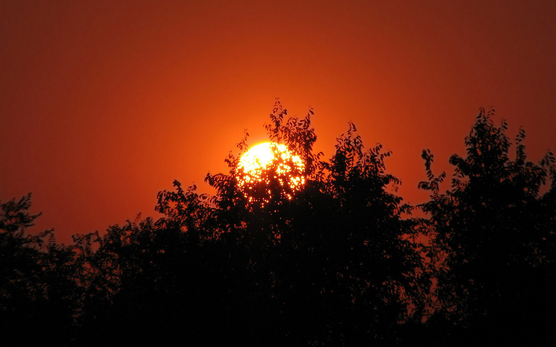 Солнце заходило красно. Красный закат. Красное солнце. Красное солнце на закате. Красный закат над лесом.
