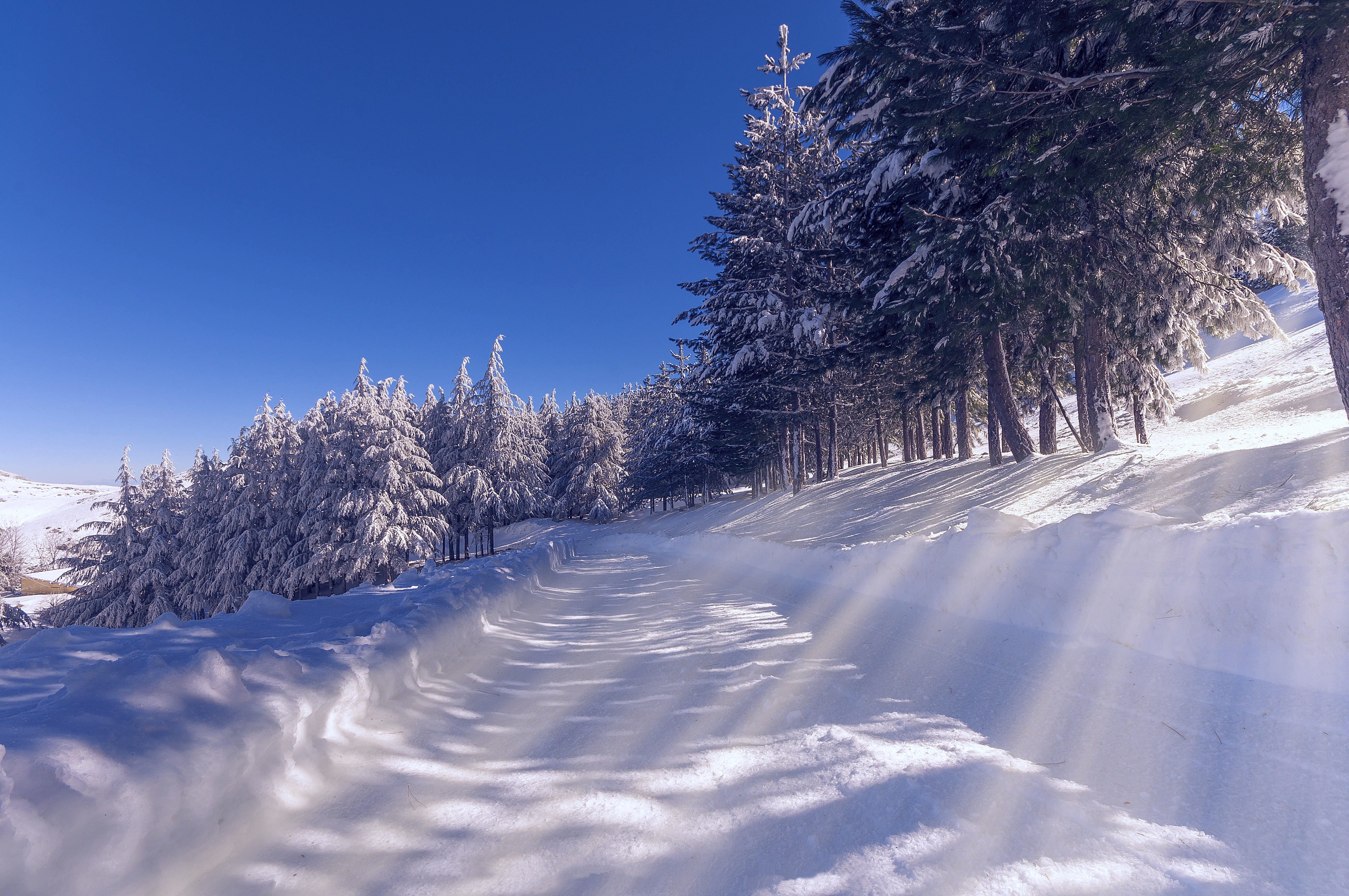 Зимнее утро дорога. Зимняя дорога. Зимний пейзаж. Зимняя природа. Зимняя дорога в лесу.