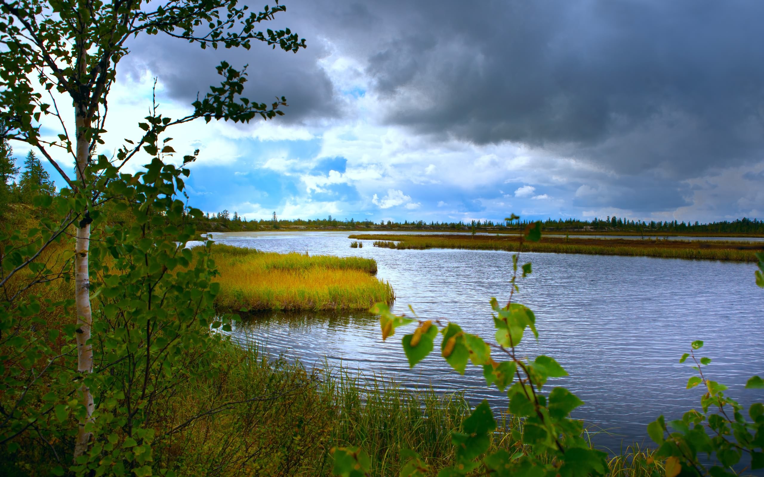 Озеро здесь шире. Озеро Самро Ленинградская область. Осиновое озеро Ульяновск. Озеро Ханто Ноябрьск. Озеро в Туме Рязанская область.