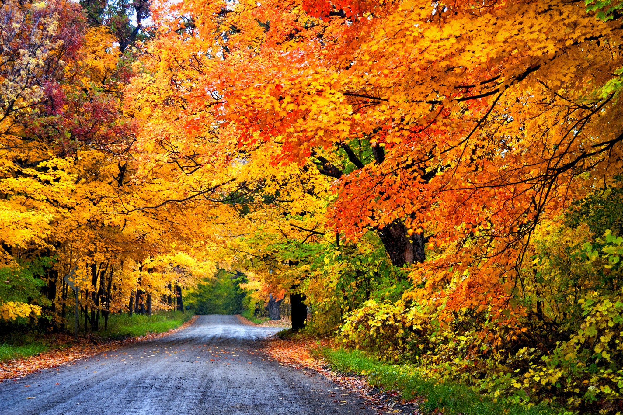 Картинки осени на рабочий. Природа осенью. Золотая осень. Красочная осень. Осень фото.