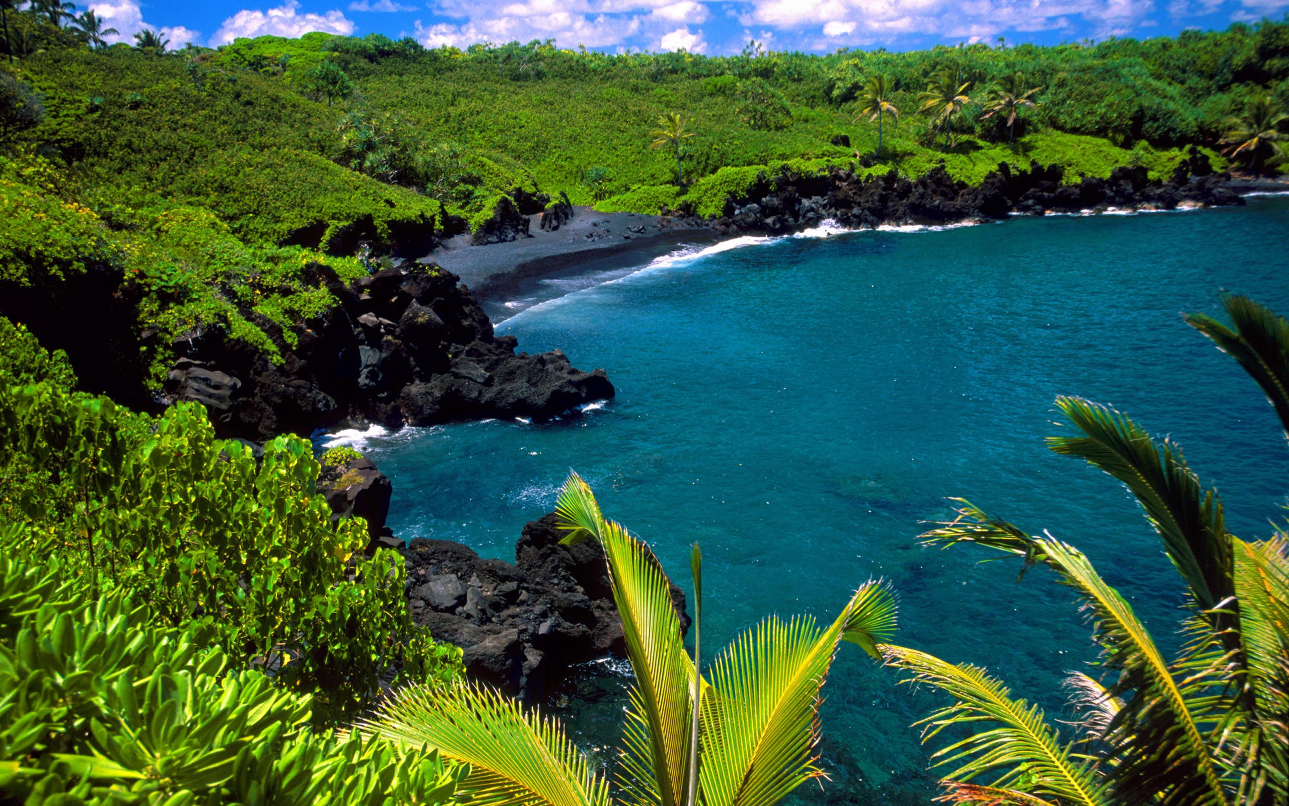 Экзотическая природа. Остров Кауаи, Гавайские острова. Остров Мауи Гавайи. Штат Гавайи остров Мауи. Остров Мауи Гавайи фото.