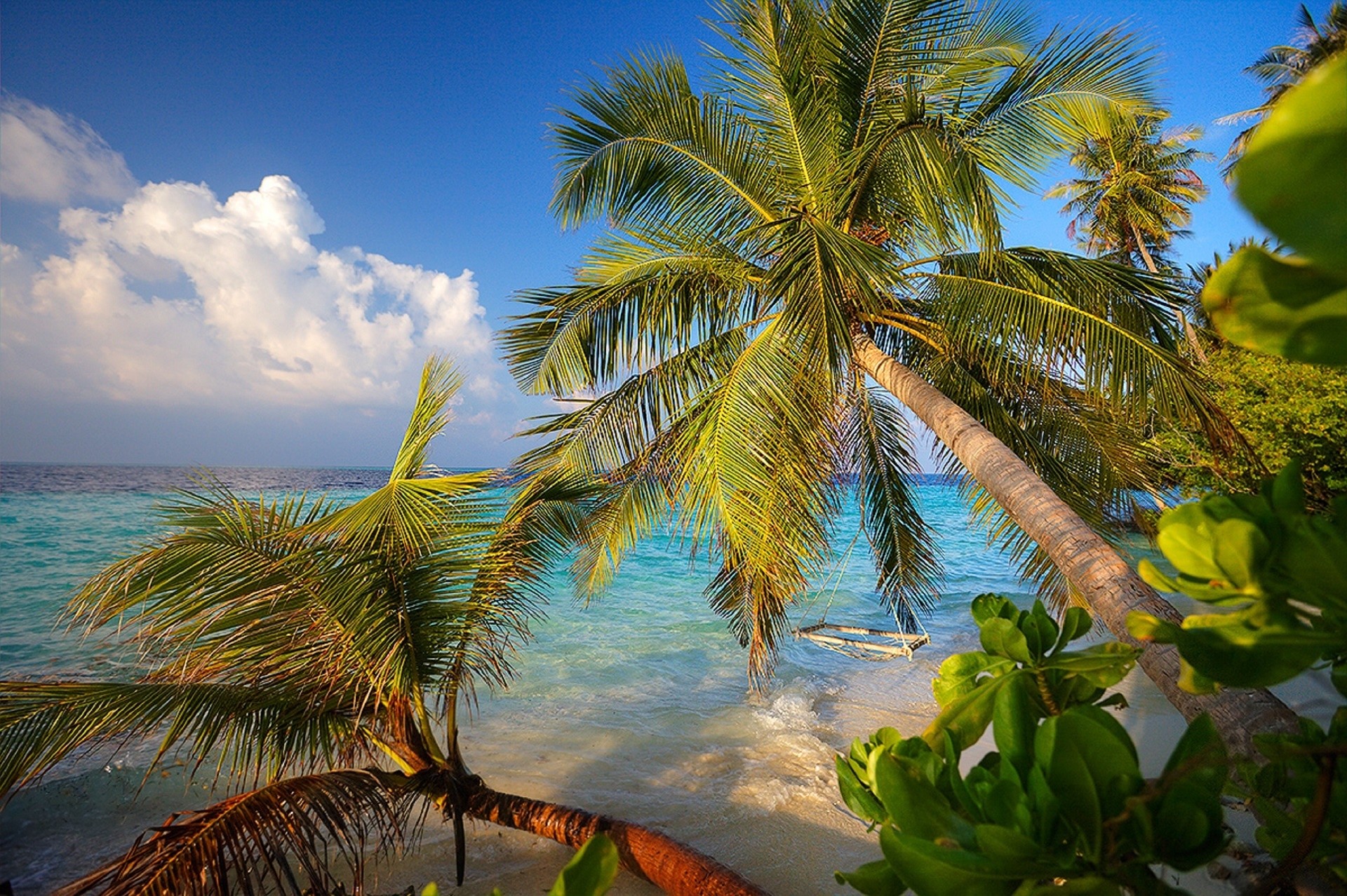 Пальмы шри ланки. Пальмы и океан. Шри Ланка океан пальмы. Кокосовые пальмы на Мальдивах. Индийский океан Мальдивы.