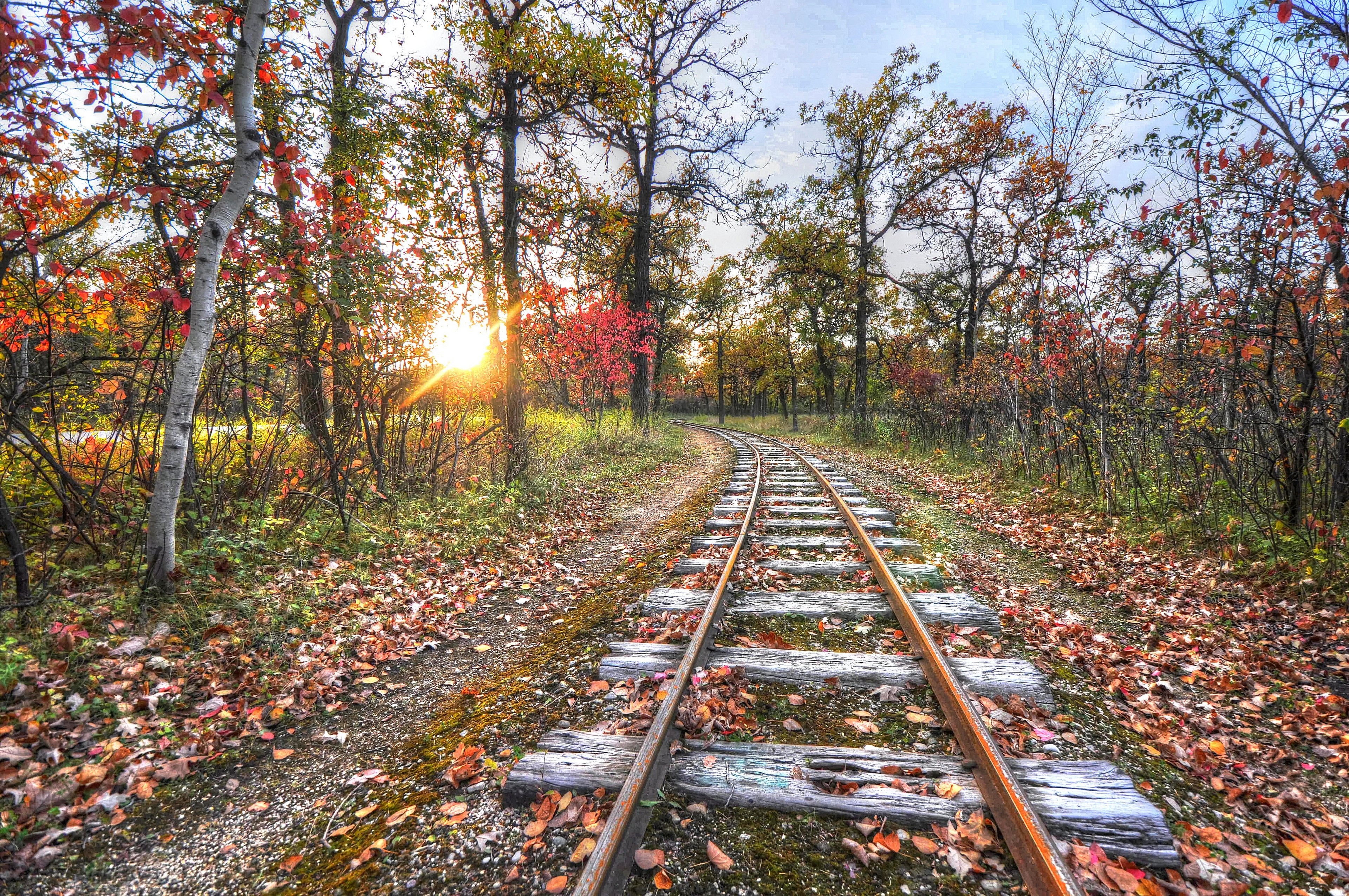 Осенняя дорога домой. Железная дорога осень Новоалександровск. Осень рельсы. Дорога в осень. Пейзаж с железной дорогой.