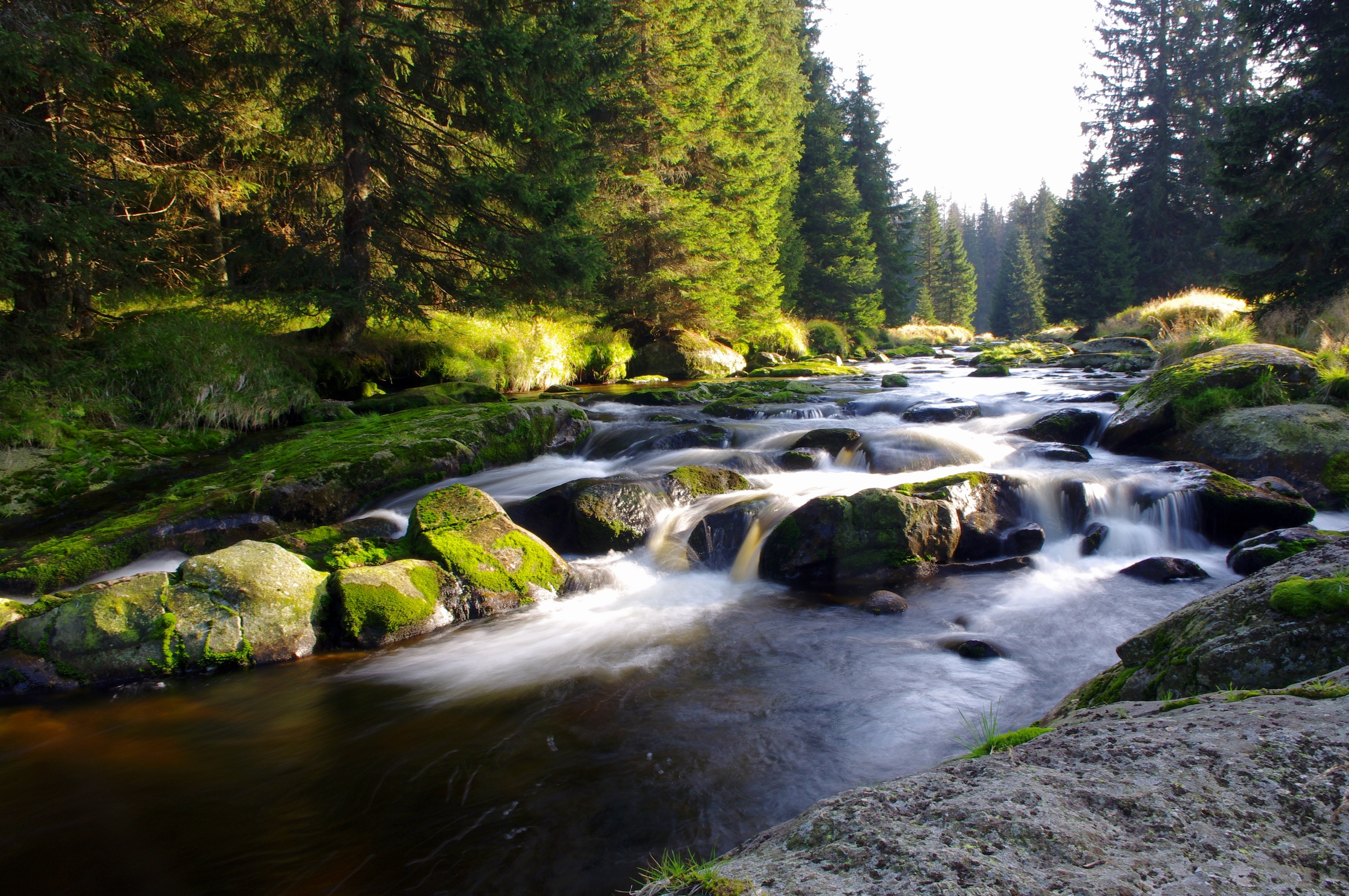 Фото. Национальный парк Шумава. Шумава Чехия. Шумава горы. Богемия Чехия природа.